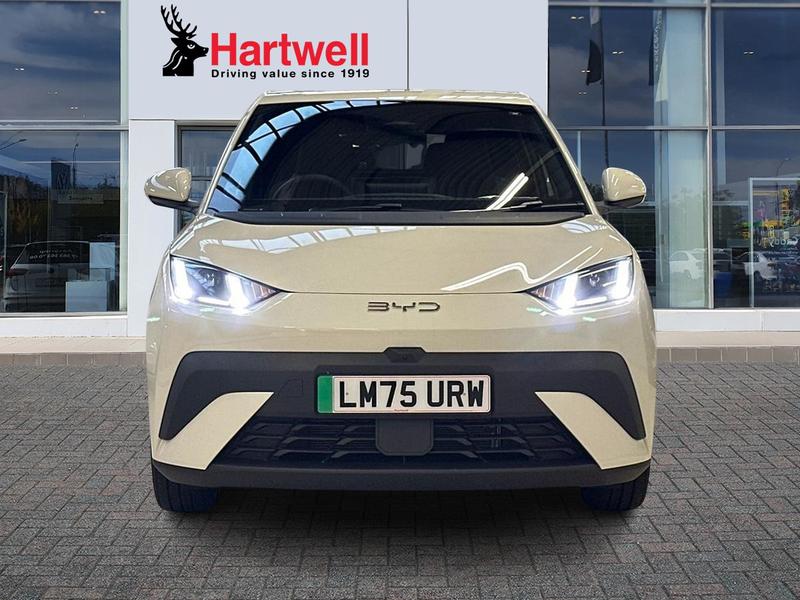 Used BYD Dolphin 2025 for sale - 77315813: Photo 9