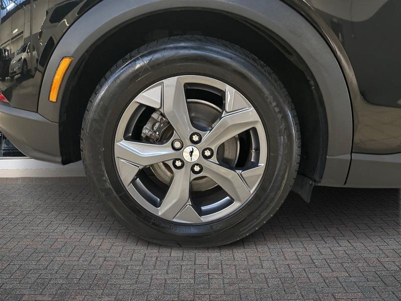 Used Ford Mustang Mach-E 2021 for sale - 77296755: Photo 10