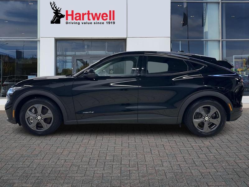 Used Ford Mustang Mach-E 2021 for sale - 77296755: Photo 7