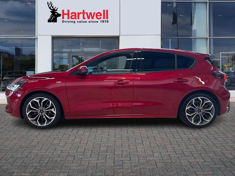 Used Ford Focus 2024 for sale - 76750467: Photo 7