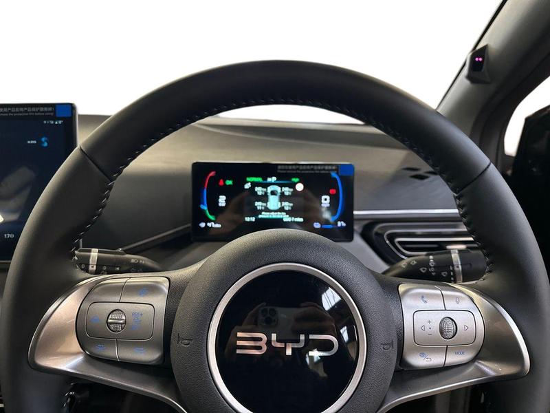 Used BYD Dolphin 2025 for sale - 77270923: Photo 14