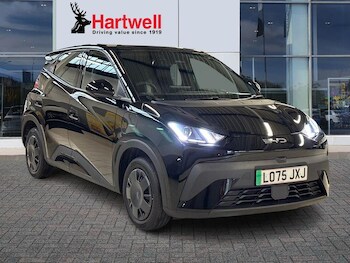 BYD Dolphin feature image