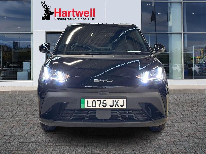 Used BYD Dolphin 2025 for sale - 77270923: Photo 9