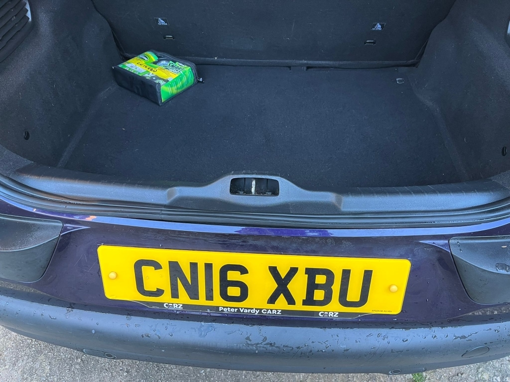 Used Citroen C4 Cactus 2016 for sale - 77129828: Photo 12