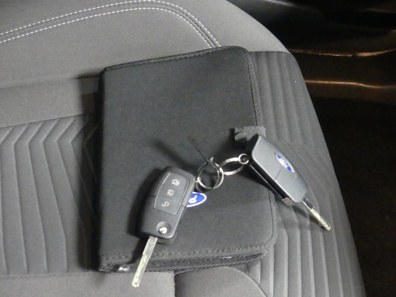 Used Ford Fiesta 2017 for sale - 77631210: Photo 12