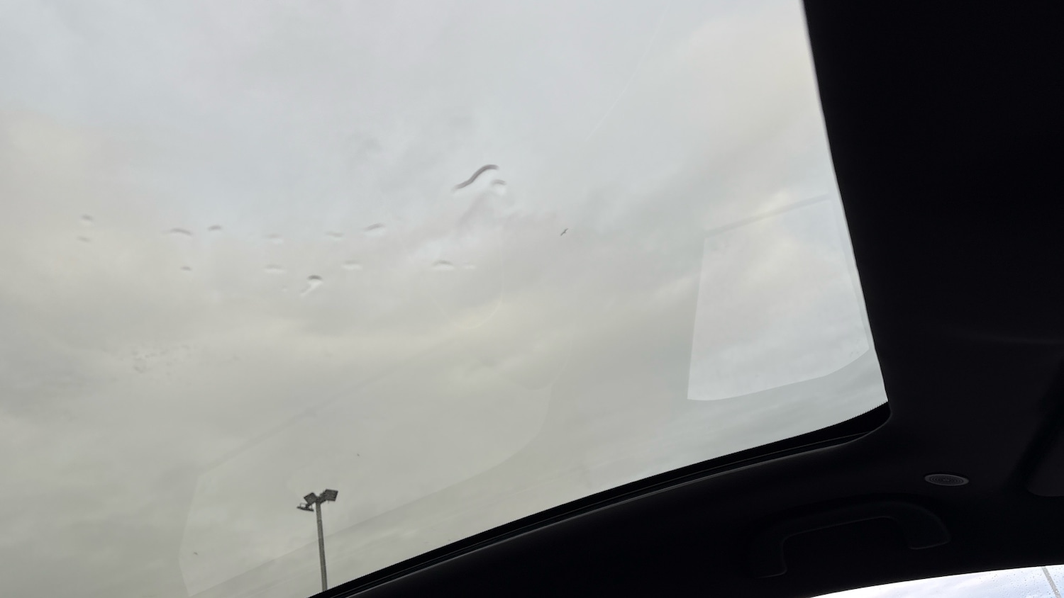 Used BYD Dolphin 2025 for sale - 76896821: Photo 48