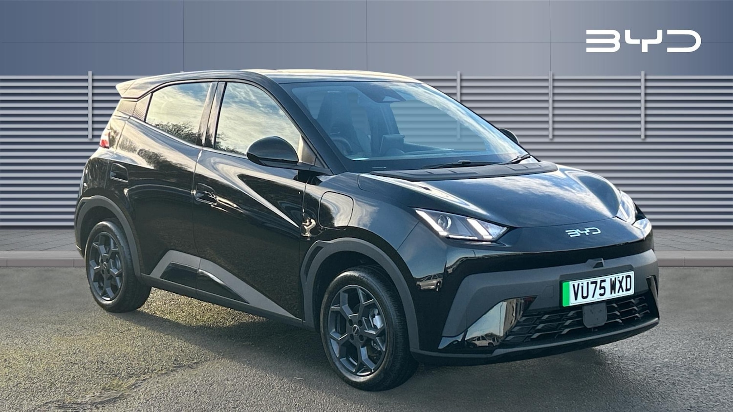 Used BYD Dolphin 2025 for sale - 76896822: Photo 1