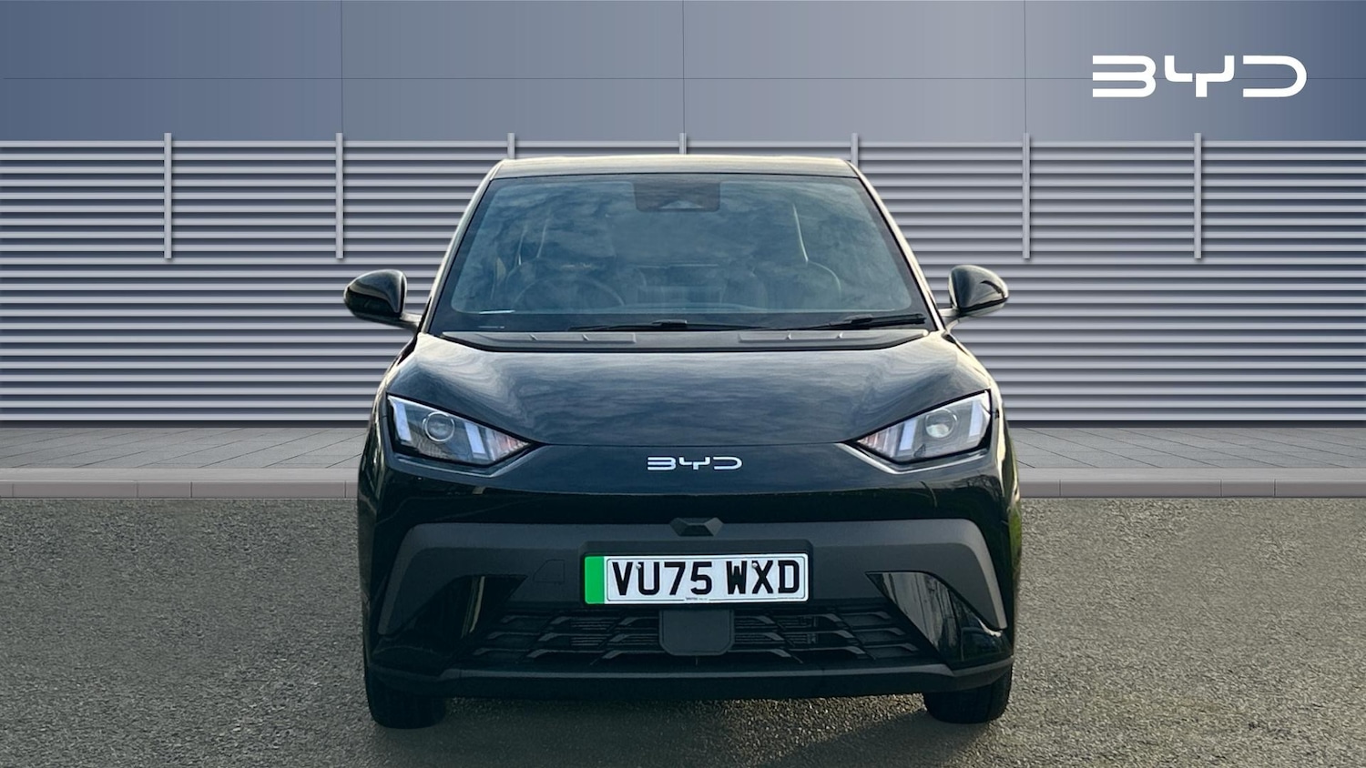 Used BYD Dolphin 2025 for sale - 76896822: Photo 3