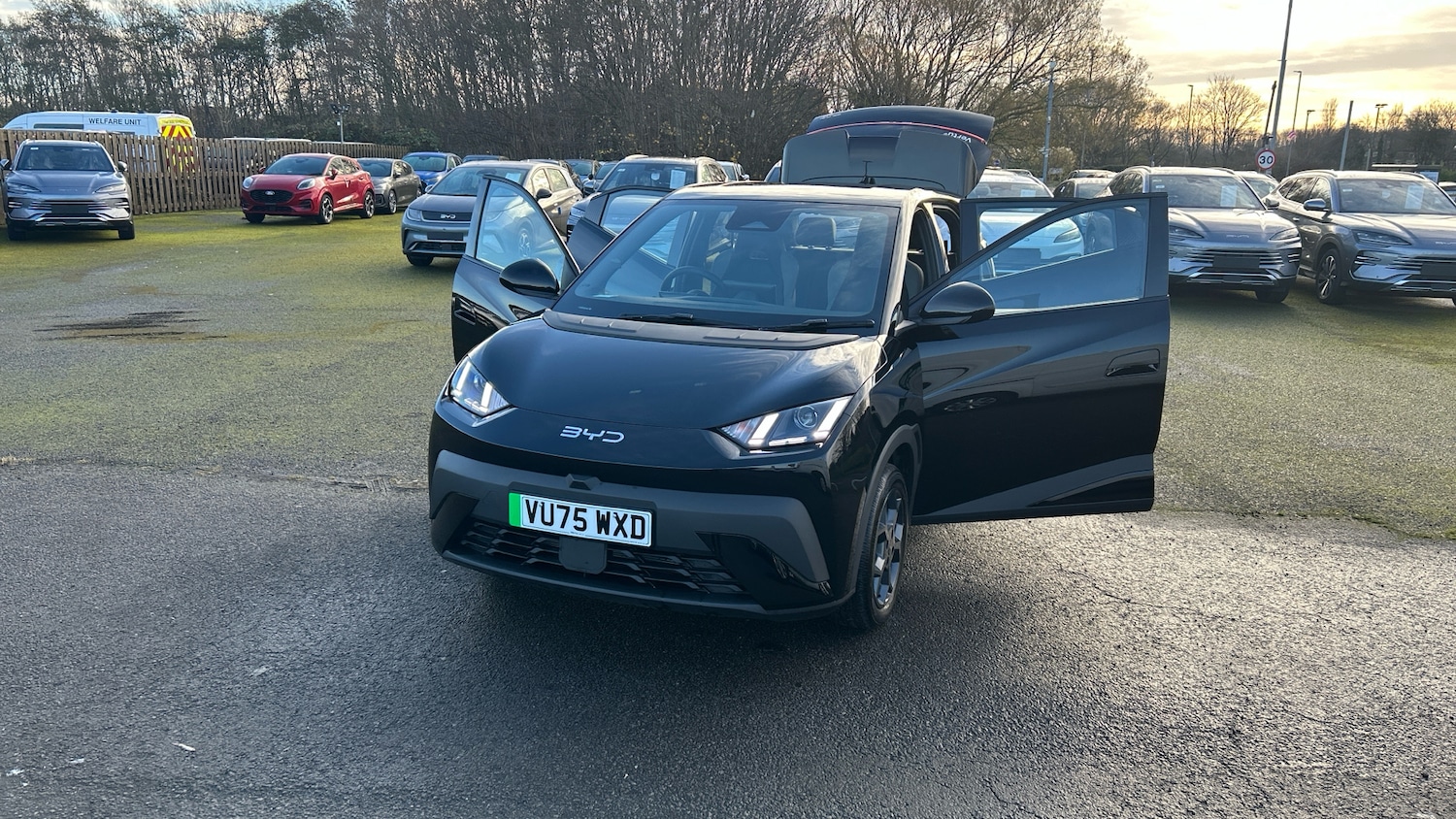 Used BYD Dolphin 2025 for sale - 76896822: Photo 40