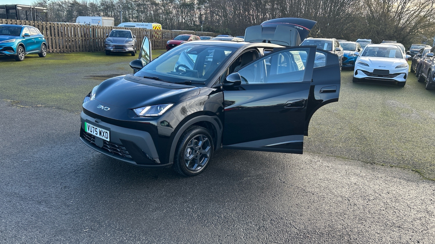 Used BYD Dolphin 2025 for sale - 76896822: Photo 41