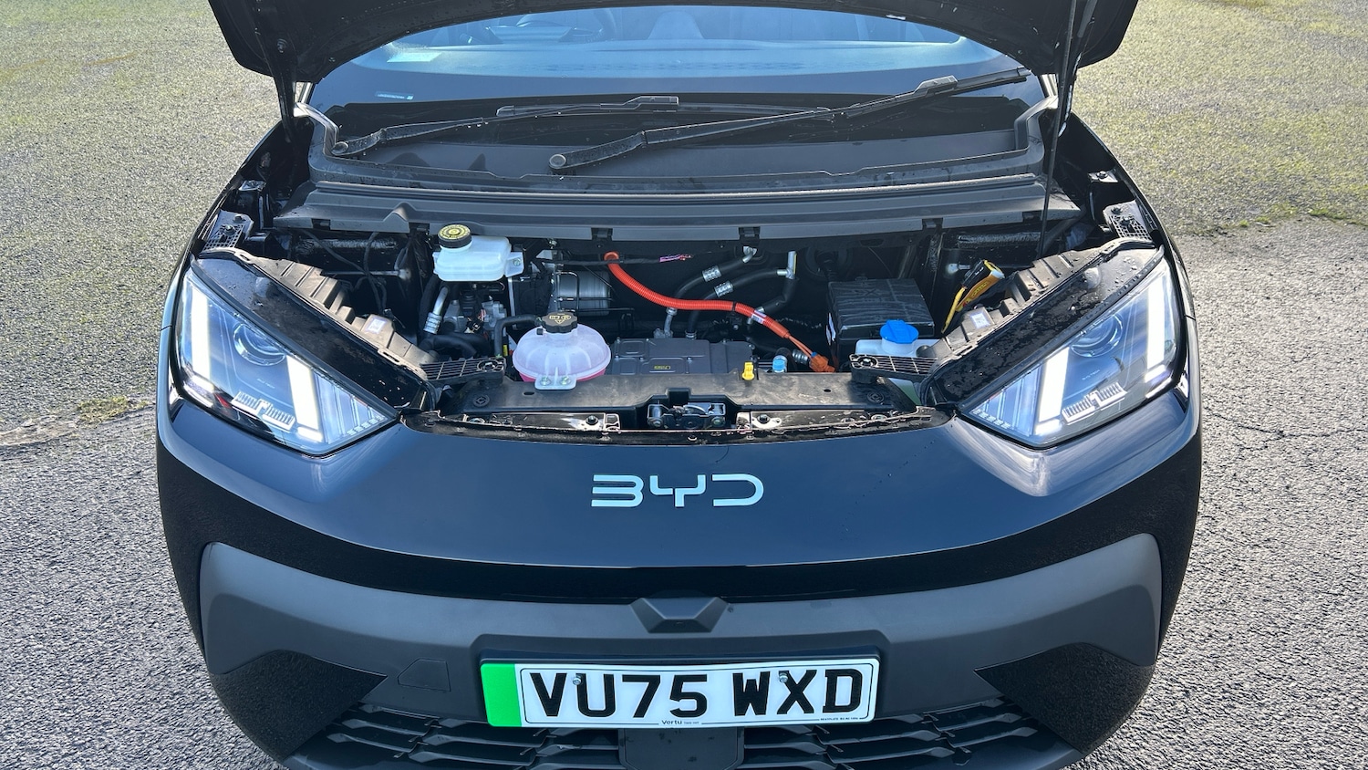 Used BYD Dolphin 2025 for sale - 76896822: Photo 8