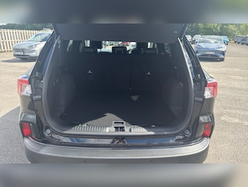 Used Ford Kuga 2023 for sale - 79340422: Photo