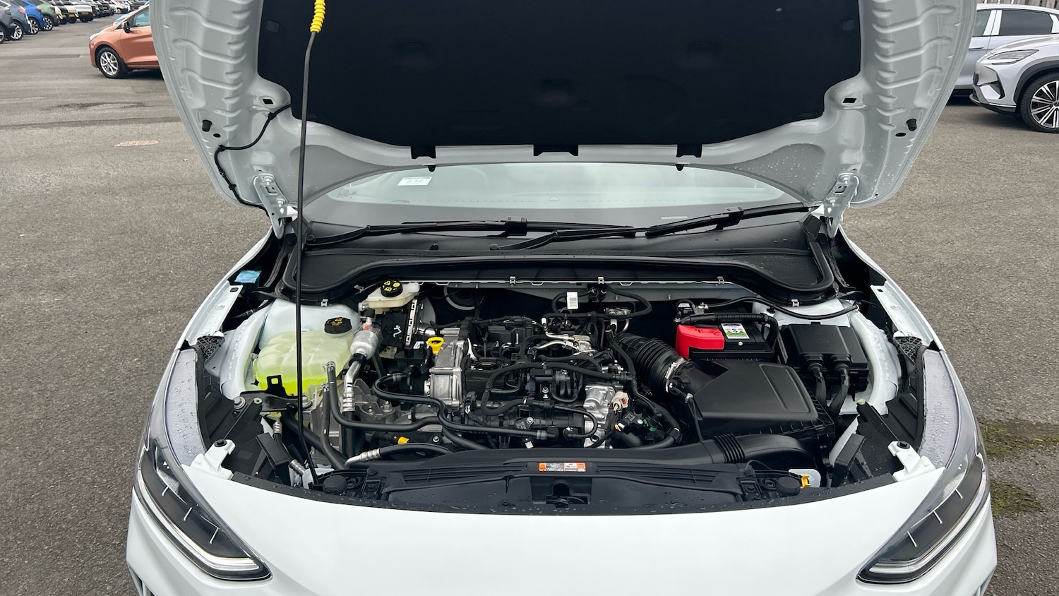 Used Ford Focus 2025 for sale - 76372264: Photo 8