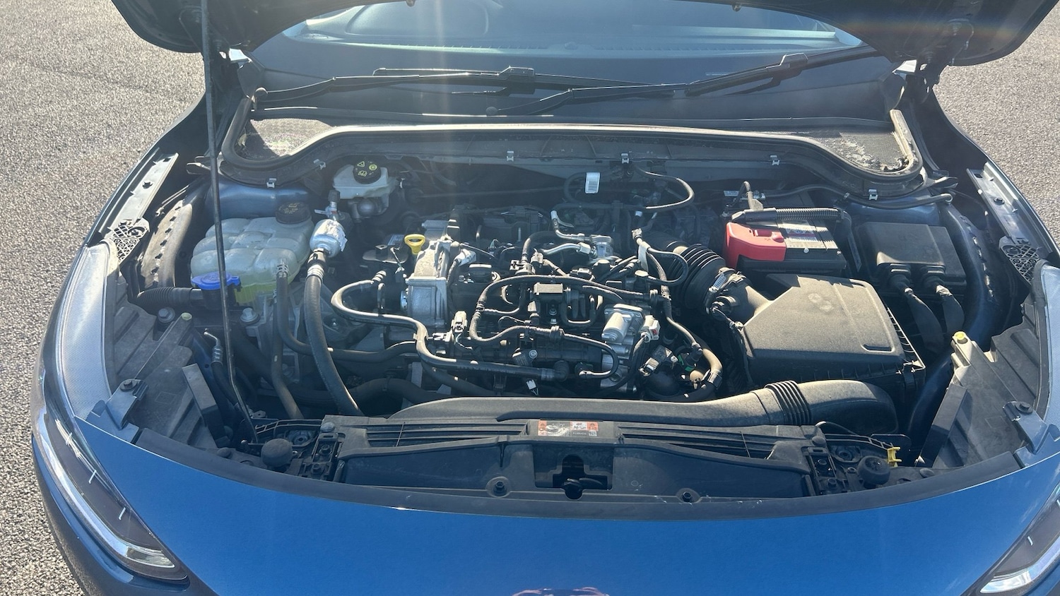 Used Ford Focus 2023 for sale - 76363211: Photo 8