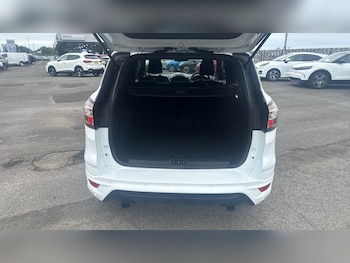 Used Ford Kuga 2019 for sale - 75453351: Photo
