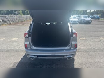 Used Ford Kuga 2024 for sale - 78858449: Photo