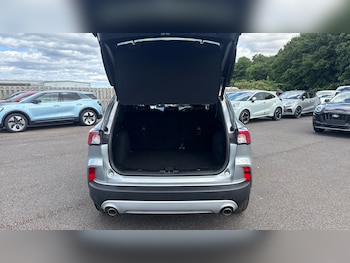 Used Ford Kuga 2023 for sale - 79341024: Photo