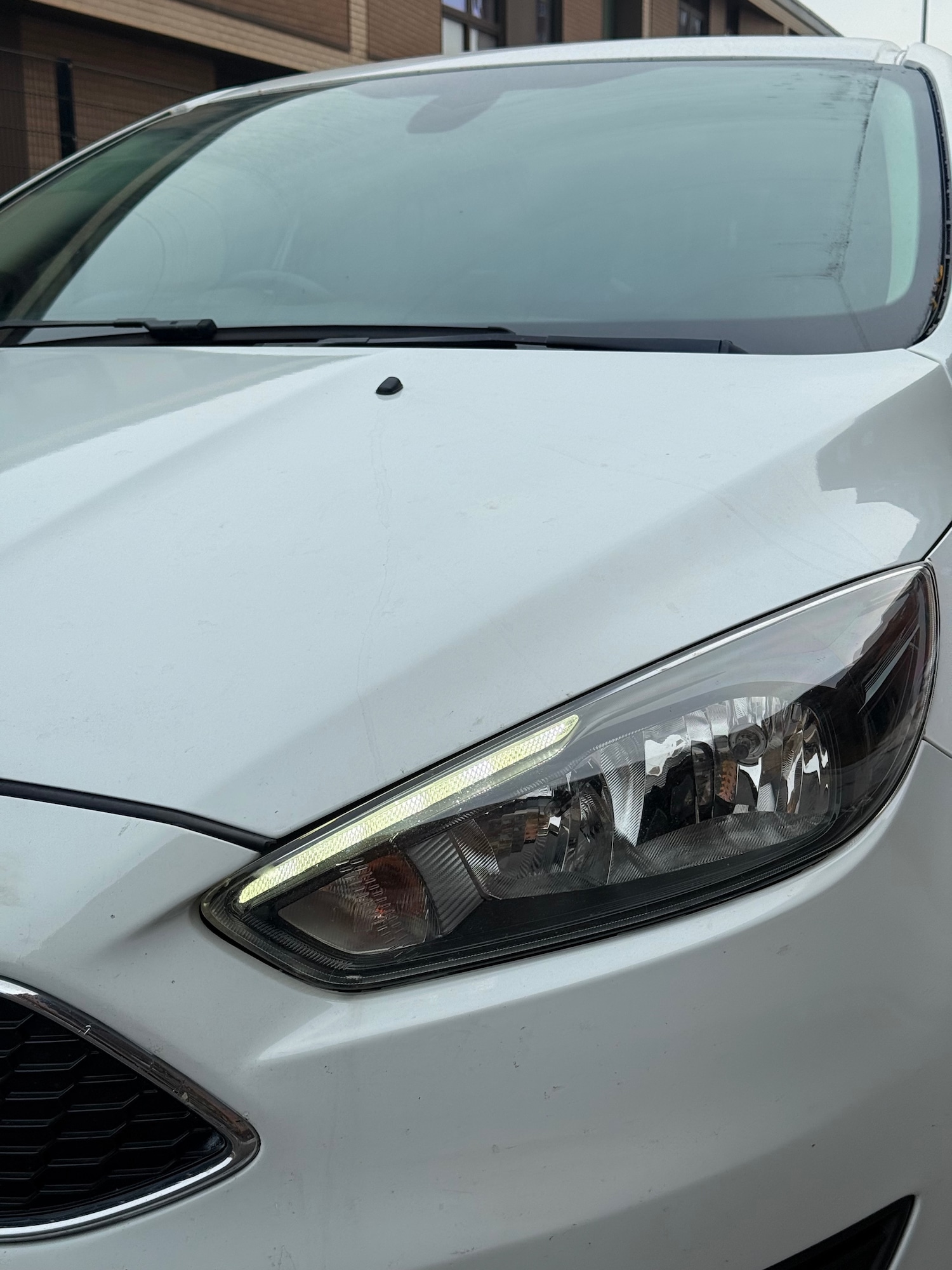 Used Ford Focus 2015 for sale - 76312538: Photo 15