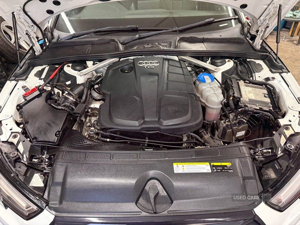 Used Audi A4 2017 for sale - 77525526: Photo 13