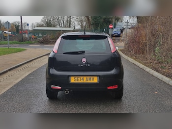 Used Fiat Punto 2014 for sale - 76976465: Photo