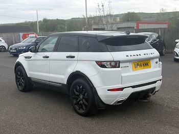 Used Land Rover Range Rover Evoque 2014 for sale - 78316133: Photo