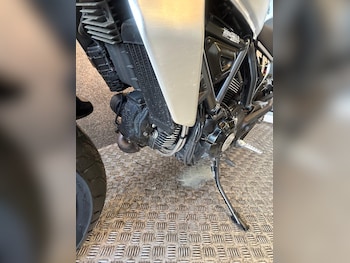 Used Ducati Scrambler 2023 for sale - bike-78854076: Photo