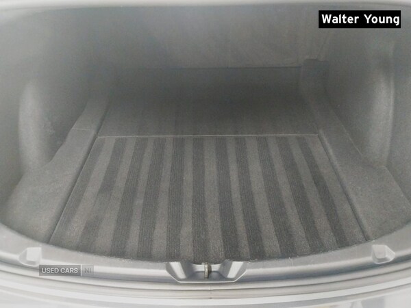 Used Tesla Model 3 2021 for sale - 77315610: Photo 15