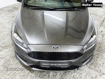 Used Ford Focus 2016 for sale - 77599485: Photo