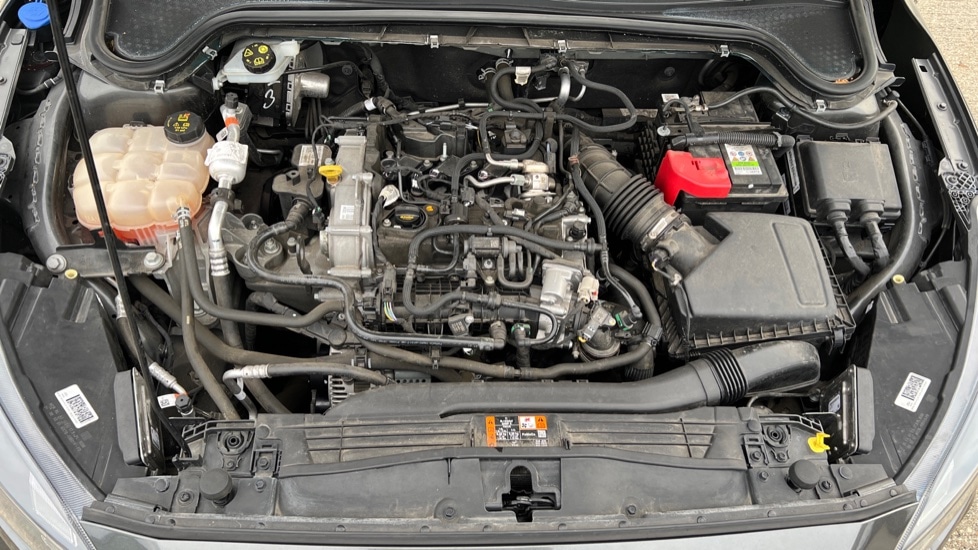 Used Ford Focus 2021 for sale - 76328197: Photo 16