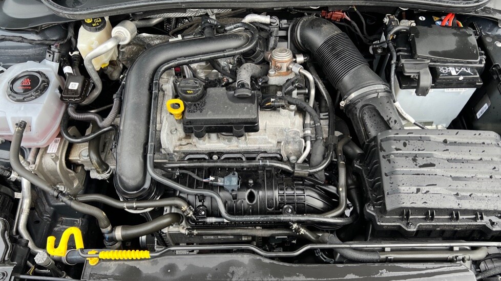 Used Volkswagen Polo 2024 for sale - 77021874: Photo 17