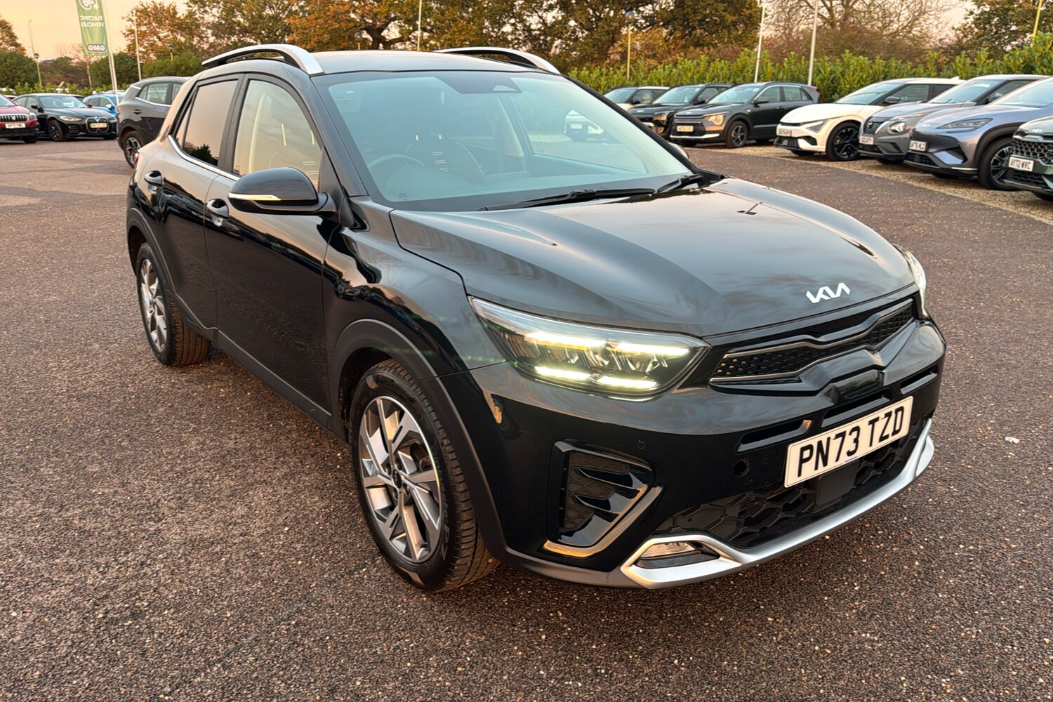 Used BYD Dolphin 2025 for sale - 76133564: Photo 32