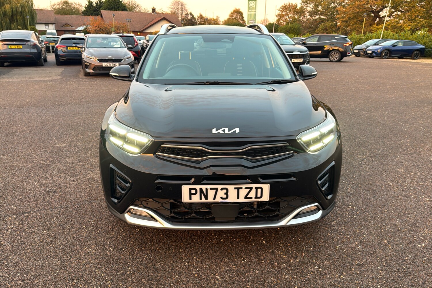 Used BYD Dolphin 2025 for sale - 76133564: Photo 33