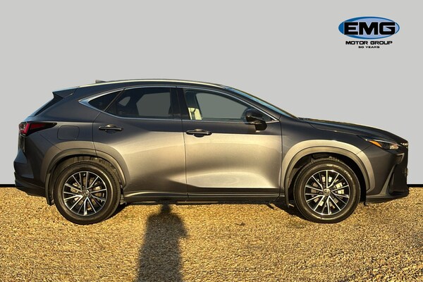 Used Lexus NX 2023 for sale - 76133570: Photo 4