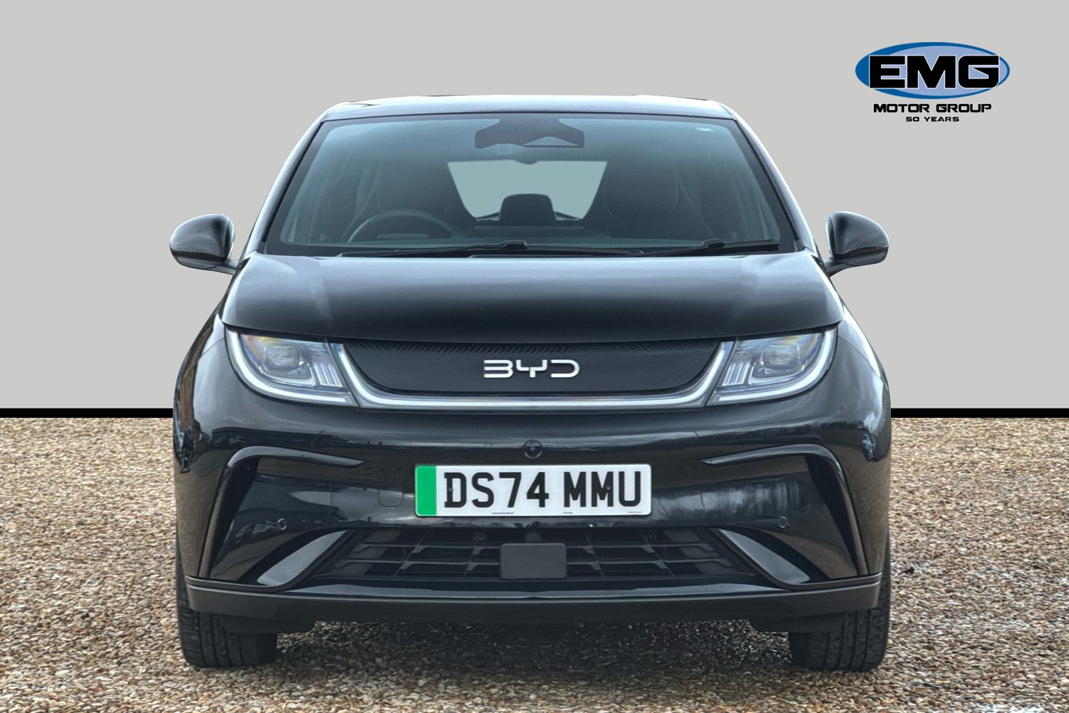 Used BYD Dolphin 2024 for sale - 77527880: Photo 2