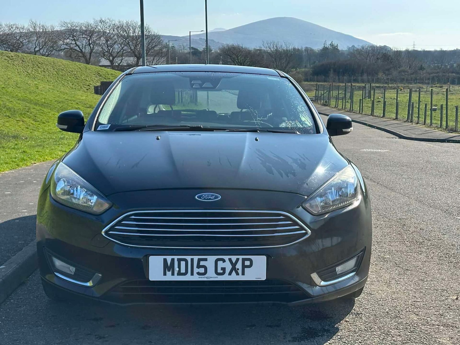 Used Ford Focus 2015 for sale - 77742668: Photo 4