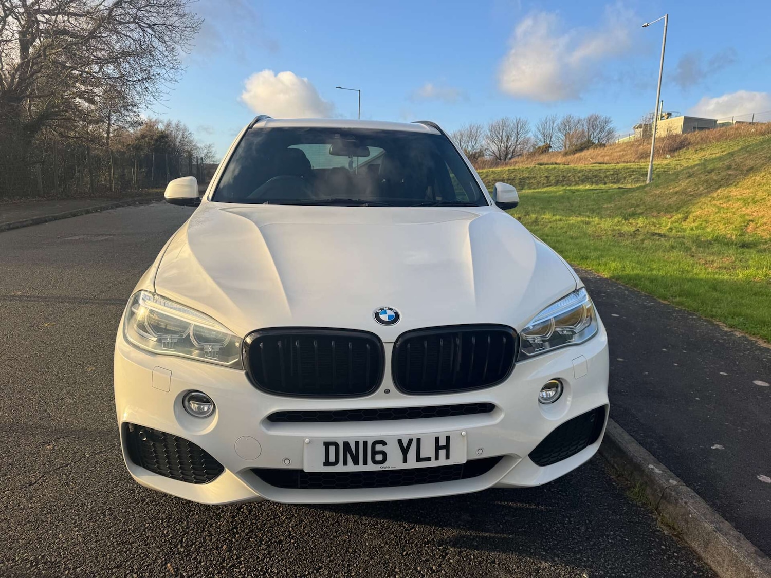 Used BMW X5 2016 for sale - 76739393: Photo 2