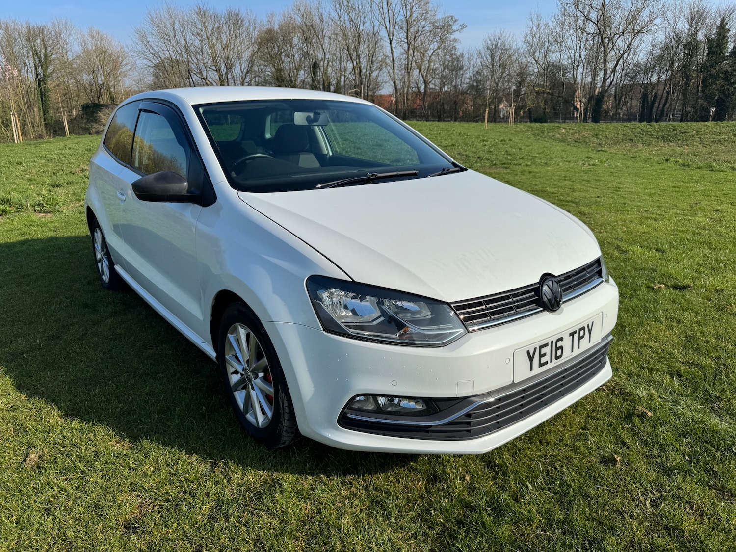 Used Volkswagen Polo 2016 for sale - 77963653: Photo 1