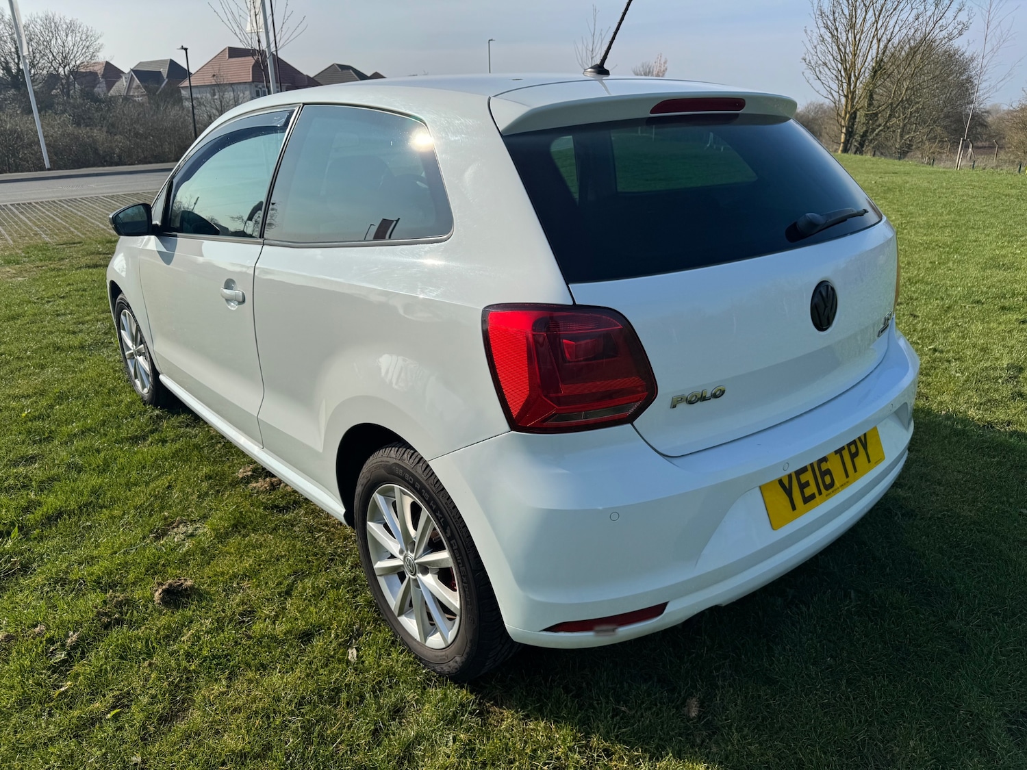 Used Volkswagen Polo 2016 for sale - 77963653: Photo 5