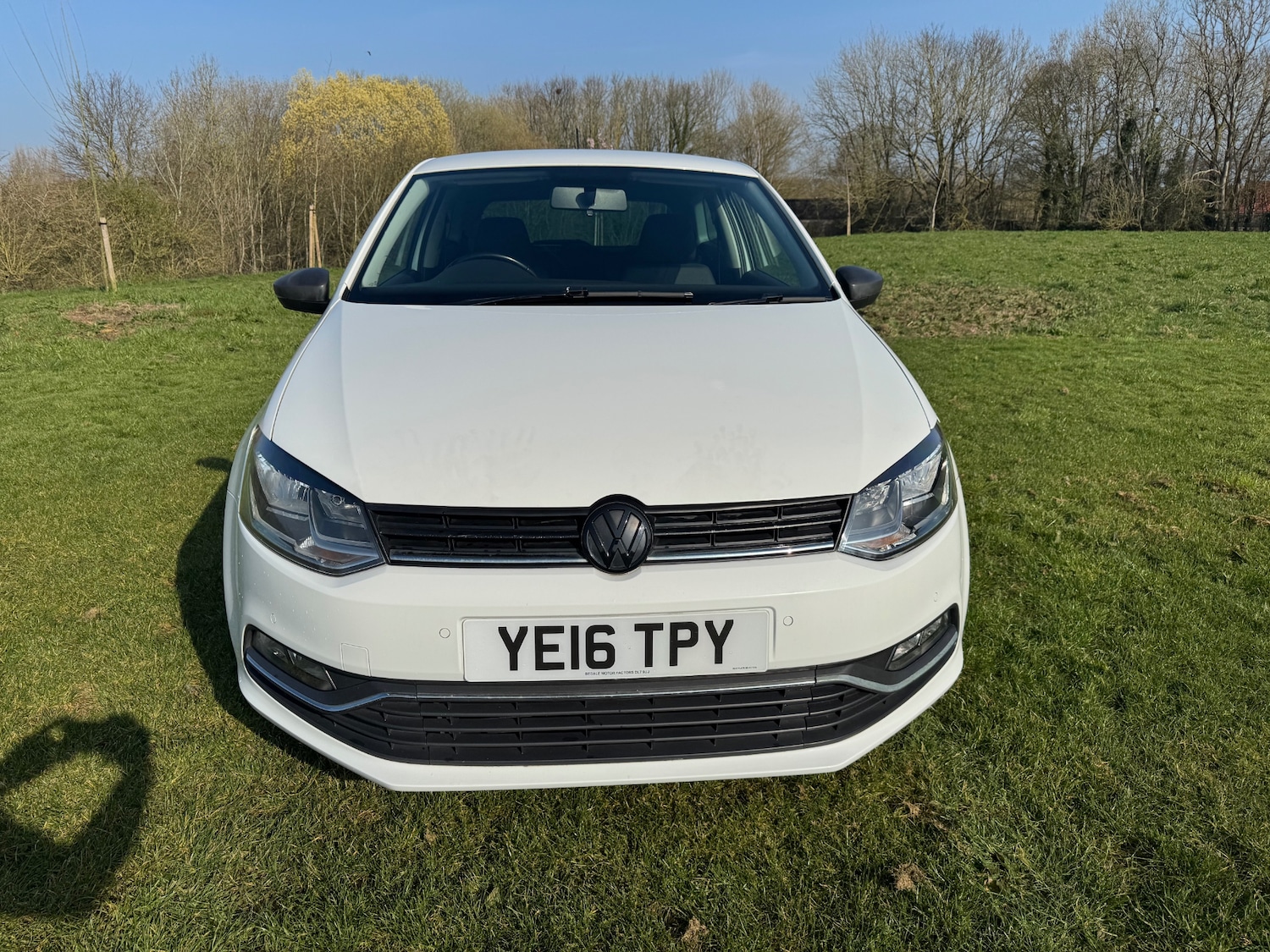 Used Volkswagen Polo 2016 for sale - 77963653: Photo 8