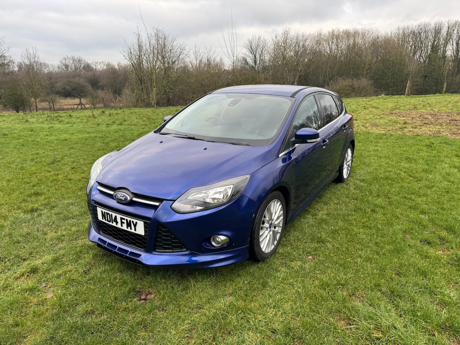 Used Ford Focus 2014 for sale - 77501762: Photo 7
