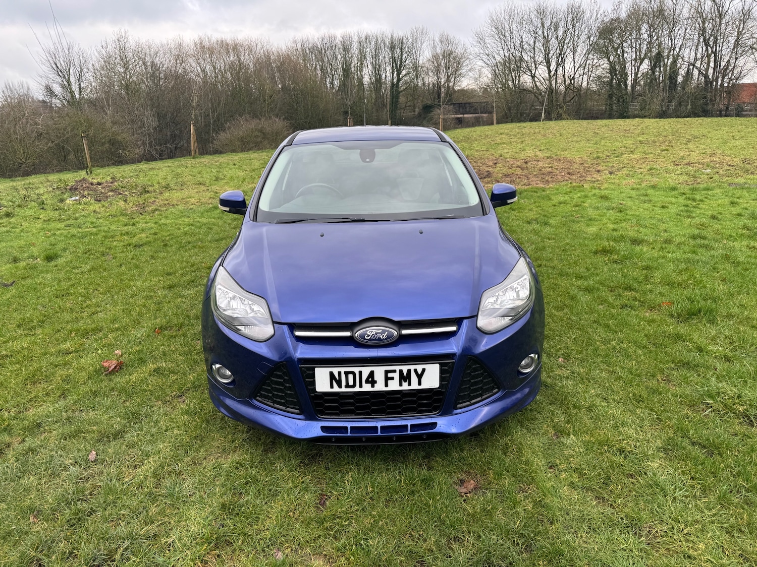 Used Ford Focus 2014 for sale - 77501762: Photo 8