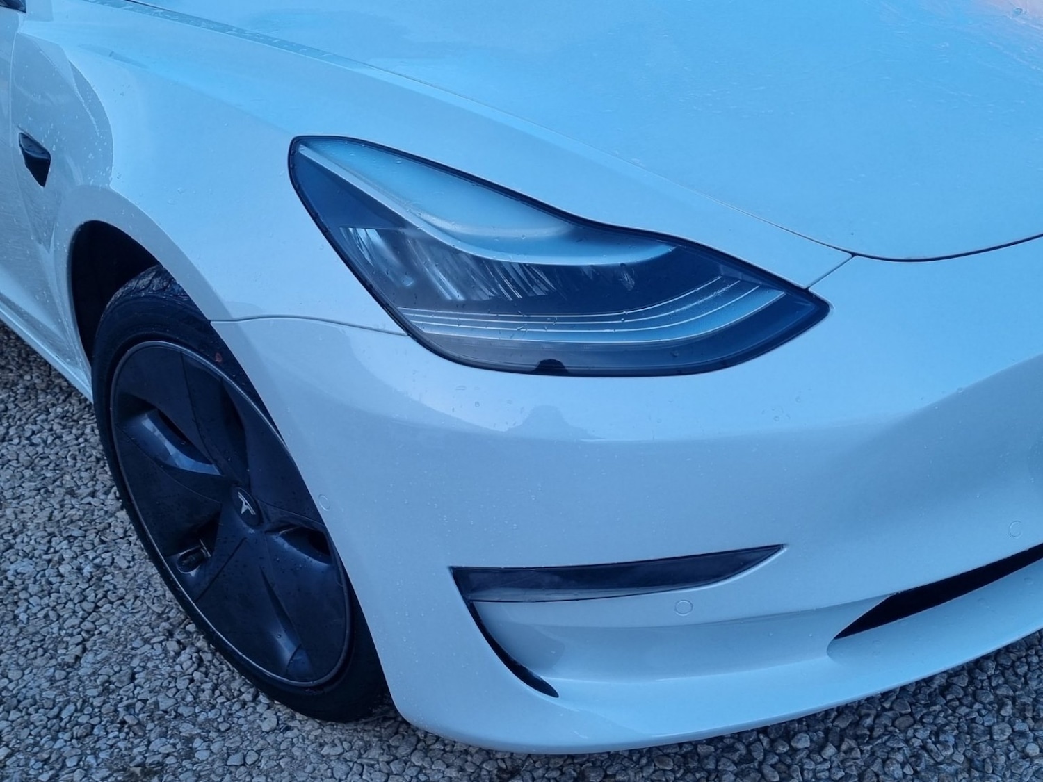 Used Tesla Model 3 2020 for sale - 77516078: Photo 15