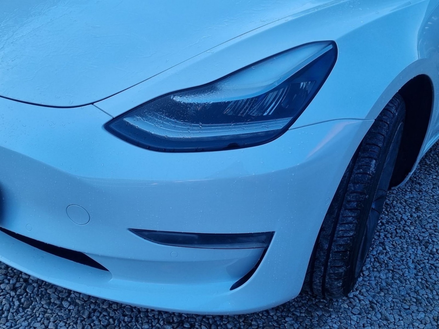Used Tesla Model 3 2020 for sale - 77516078: Photo 16