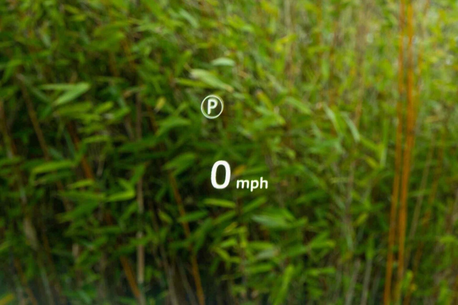 Used Land Rover Defender 2024 for sale - 77441421: Photo 7