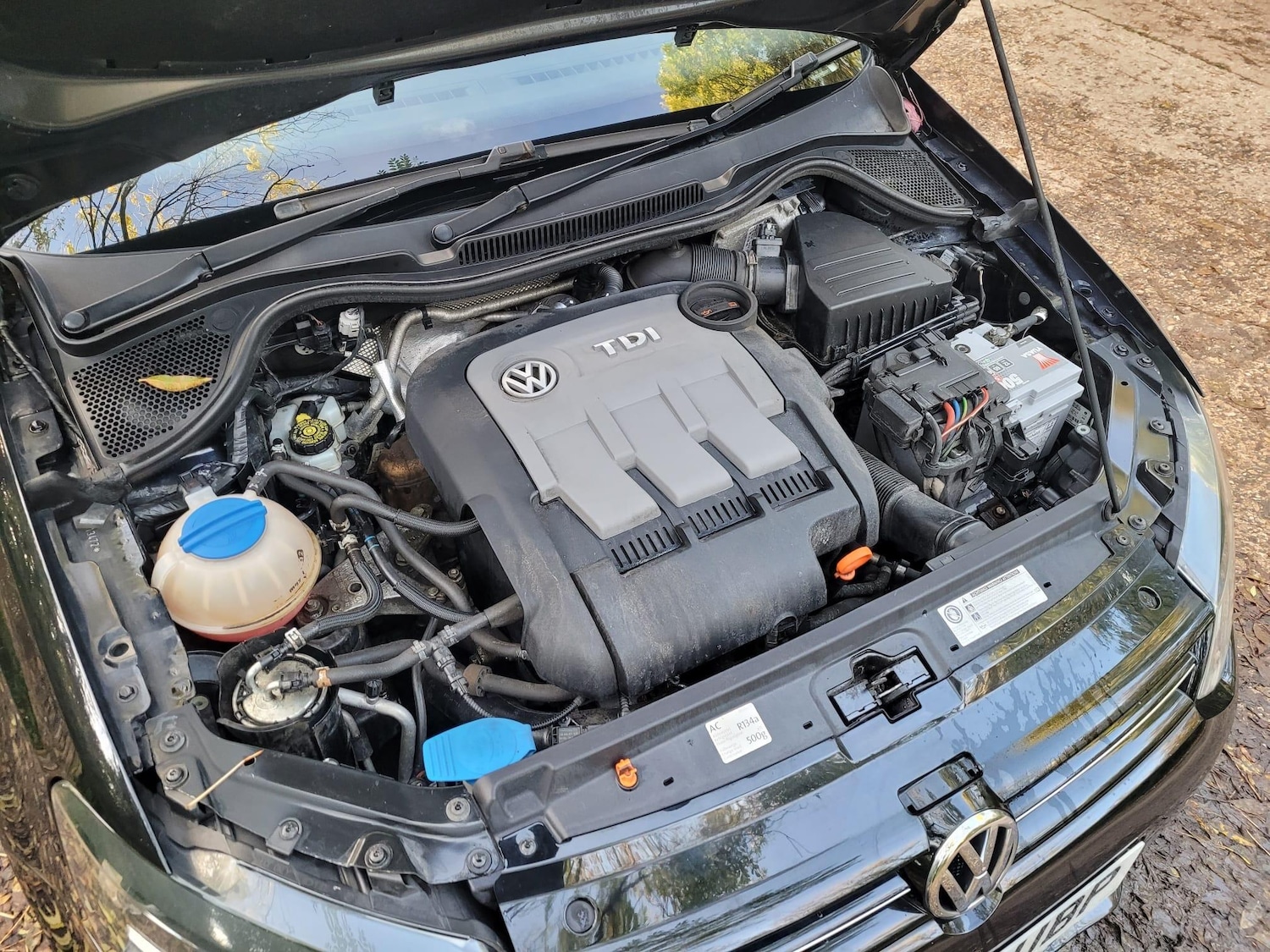 Used Volkswagen Polo 2012 for sale - 76408424: Photo 14