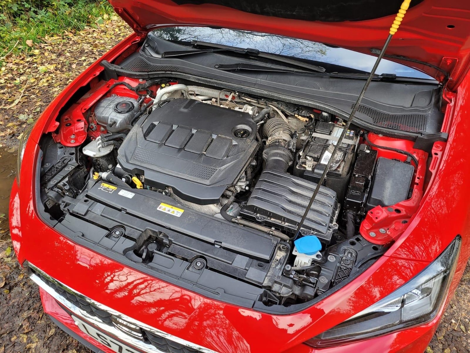 Used SEAT Leon for sale - 76440607: Photo 13