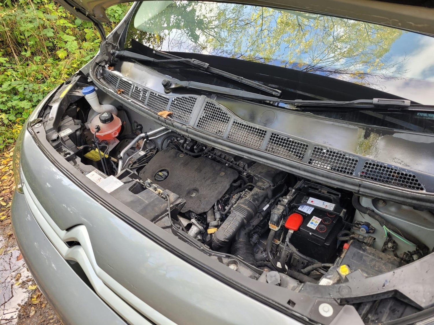 Used Citroen Dispatch 2020 for sale - 76409187: Photo 19