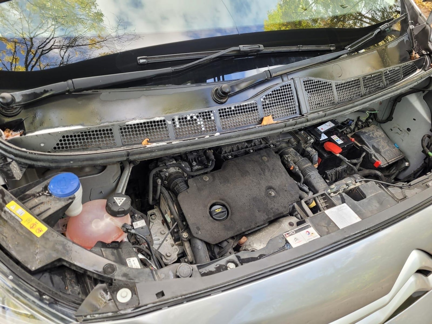 Used Citroen Dispatch 2020 for sale - 76409187: Photo 20