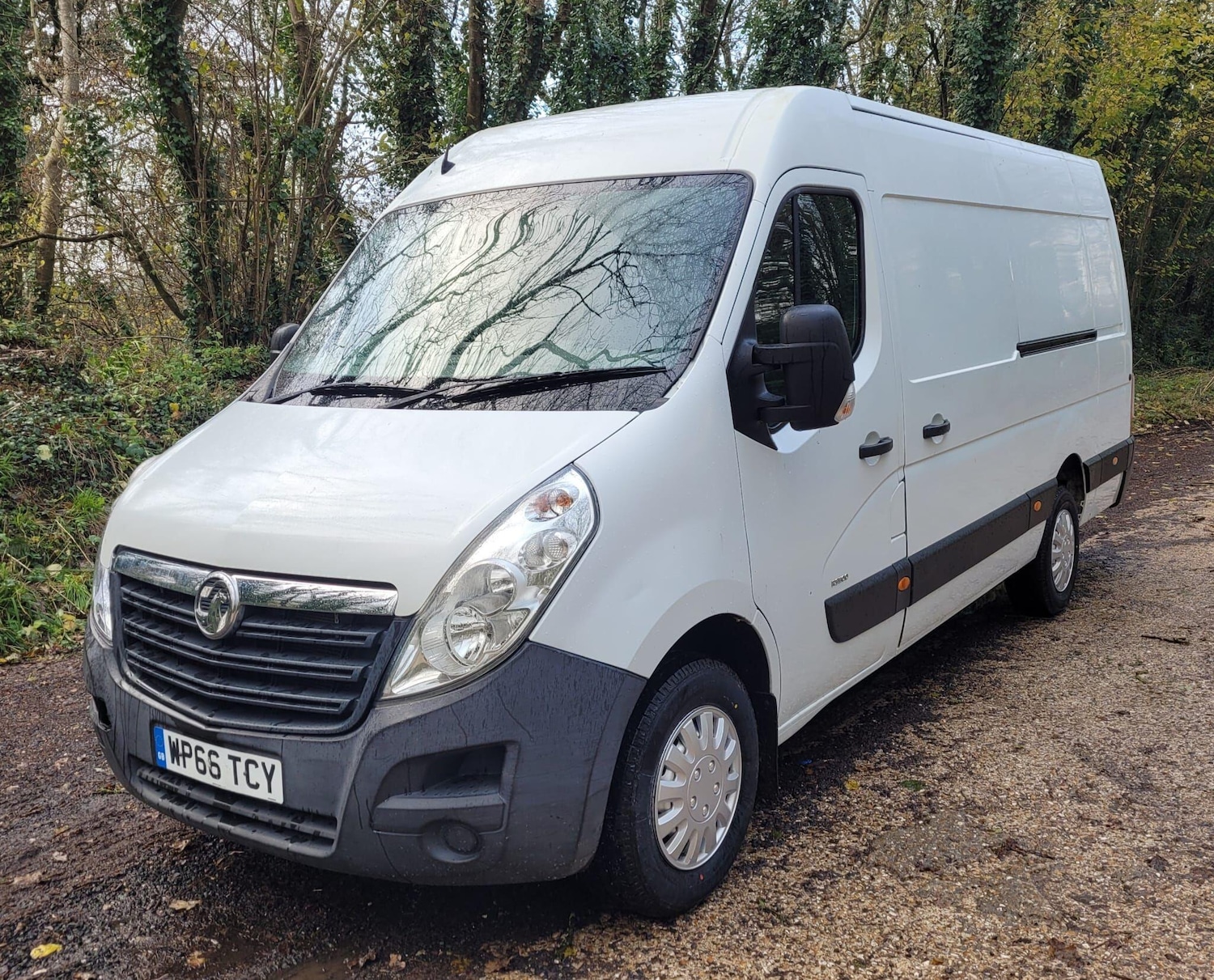 Used Vauxhall Movano 2016 for sale - 76849858: Photo 3