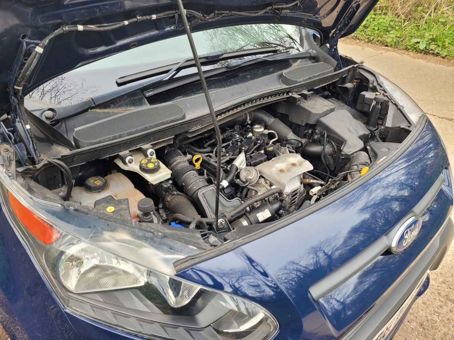 Used Ford Transit Connect 2017 for sale - 78006710: Photo 20